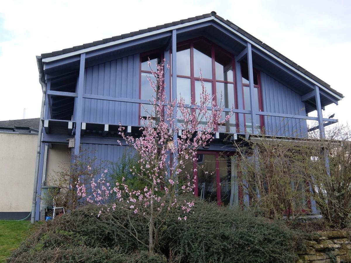 Blaues Haus - Une Maison Bleue Apartment Hetzerath Bagian luar foto