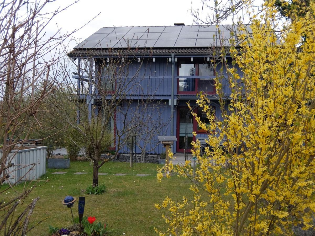 Blaues Haus - Une Maison Bleue Apartment Hetzerath Bagian luar foto